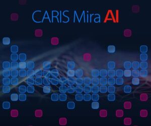 CARIS Mira AI智能云端数据处理软件