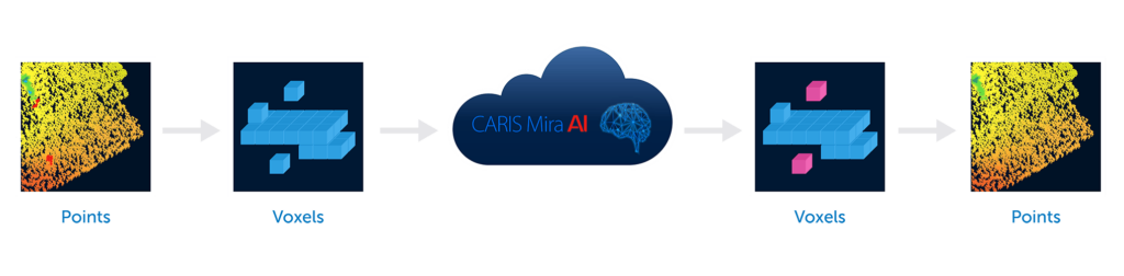 CARIS Mira AI软件如何工作